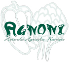 logo-agnoni